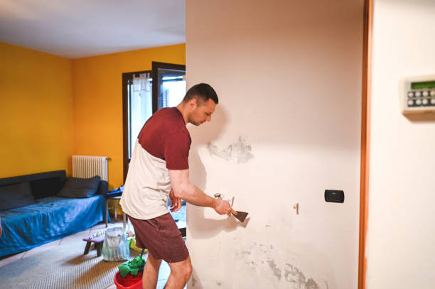 Best Commercial Mold Remediation in Silver Creek, NY